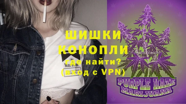 ПСИЛОЦИБИНОВЫЕ ГРИБЫ Ладушкин