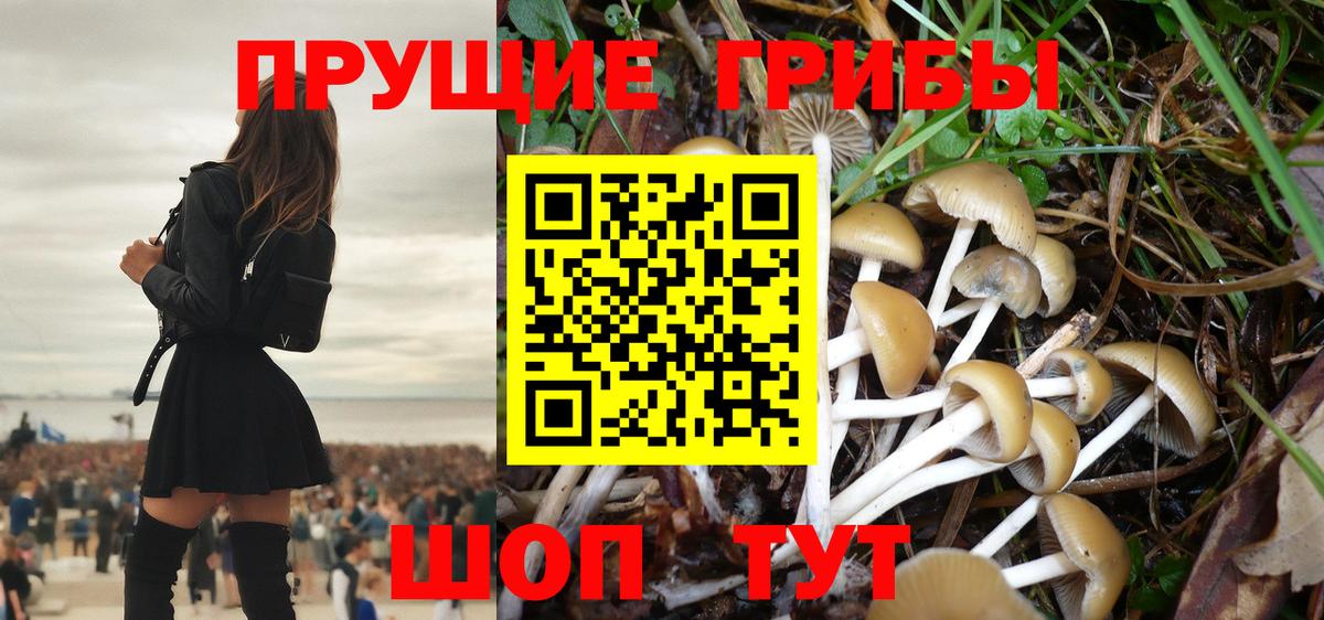 Арзамас  Псилоцибиновые грибы Psilocybe  Галлюциногенные грибы Magic Shrooms  Вход с VPN 